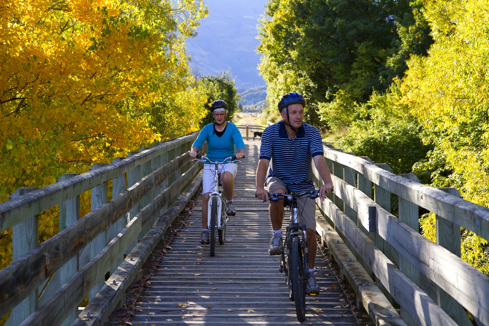 Otago Central Rail Trail cycling 1.jpg